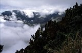Africa059