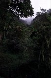 Africa061