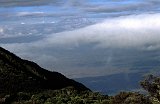Africa067