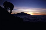 Africa134