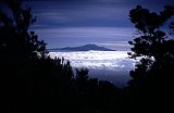 Africa138