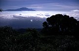 Africa153