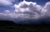 Africa167