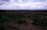 Africa170