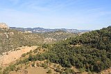 IMG 2429