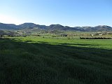 IMG 0503