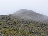 La Travessa del Pirineu pel GR-11