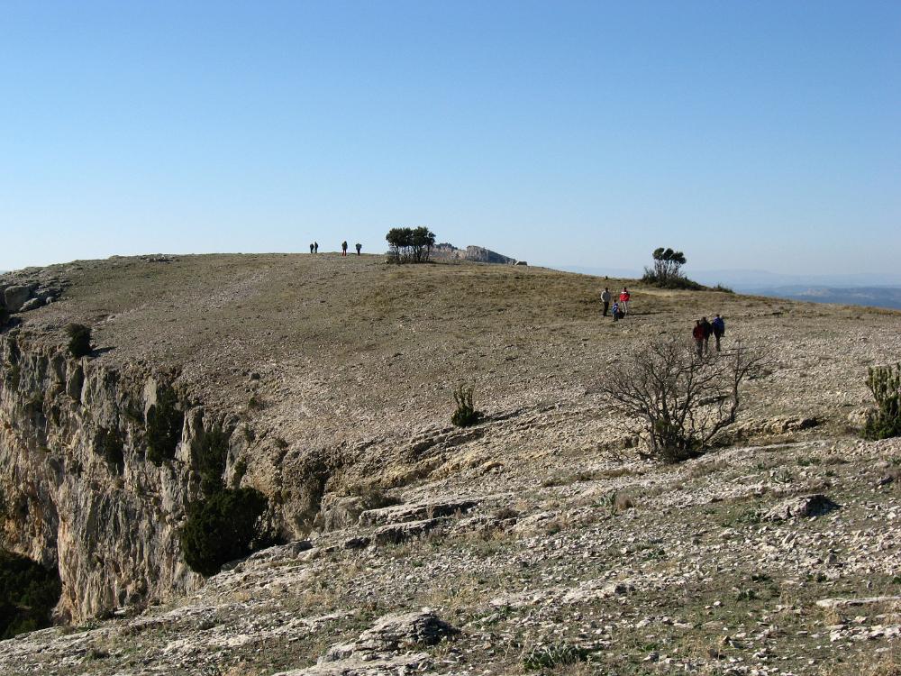 IMG 0931