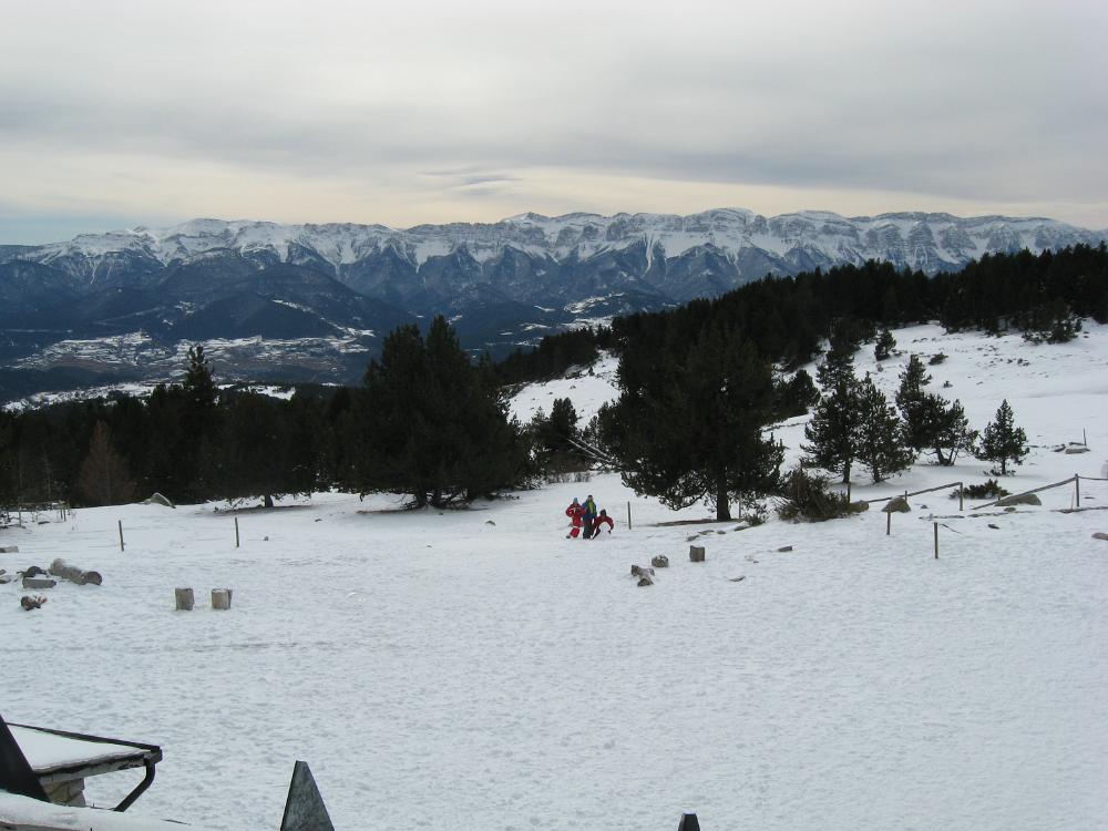 IMG 2889