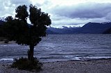 Patagonia138