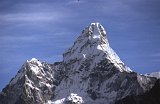 Everest95  (479)