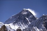 Everest95  (554)